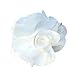 Baby Carnation TruStay Hair Clip - Best No Slip Barrette for Fine Hair (D3-White)