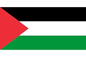 FASENT-PARTY Bandiera Premium – 90 x 150 cm/150 cm, 90 cm, in poliestere con occhielli dorati, durevole e resistente alle intemperie (Palestina)