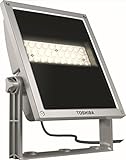 fassadenstrahler down  TOSHIBA LED Fassadenstrahler silber 40W 3000K 58x1