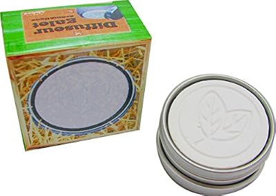 Direct-Nature Diffuseur d'Huiles Essentielles Galet - Déco Feuilles