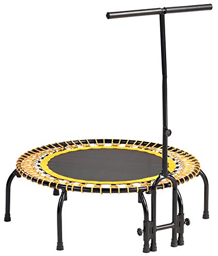 Kangui FitBodi Mini Trampoline de Fitnes...