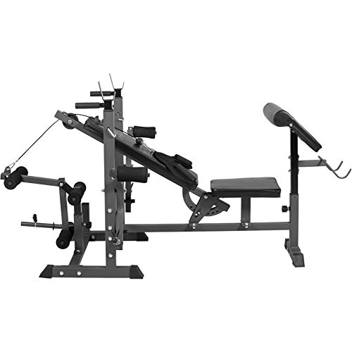 GYRONETICS E-Series Universal Multi-Schrägbank Kraftstation mit Beincurler, Dipper, Bauchtrainer, Curler, Butterflys / Muskeltraining – Hantelbank für Langhantel Kurzhantel Training - 2