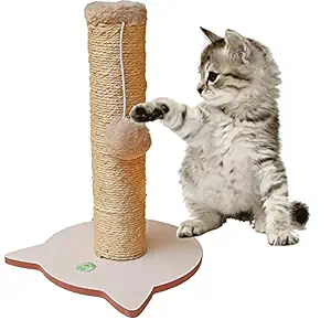 PetNest Verticle Scratching Post for Kittens