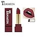 Produktbild 12 Farben Neue Mode nude Lippenstift matt, Huihong TEAYASON Wasserdicht Pigment Braun nude Lippenstift Lang Anhaltende Make up Lipgloss (#11)