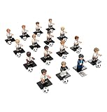 Lego Minifiguren Die Mannschaft kompletter Satz alle 16 Figuren - Lego