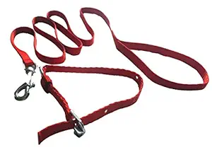 Suraj Chain Smart Doggie Nylon Lead Leash With Collar For Small Puppies - 0.50 Inch