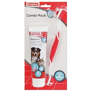 Beaphar – Pasta Dental para Perro (100 g) con Cepillo de Dientes