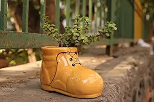 Lyallpur Stores Ceramic Planter Pot Shoe Shape - Medium (Yellow Color, 9 cm) Plant Not Included