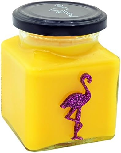 Flamingo Candles Classic Soy Wax Mango and Dragonfruit, Orange
