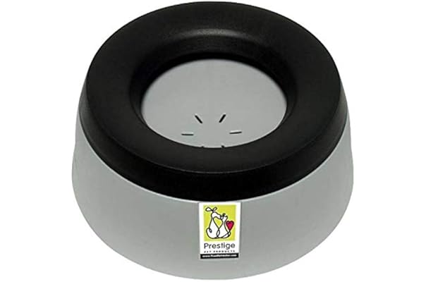 best water dish for dogs