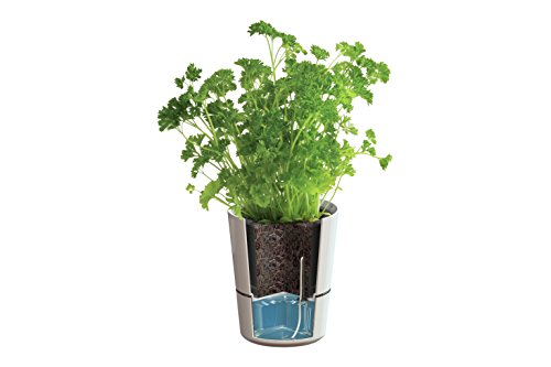 Rosti Mepal Hydro Kräutertopf, Groß, Weiß - 8