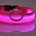 Produktbild LED-Hundehalsband / Leuchthalsband aus Nylon, mit blauem Blinklicht pink