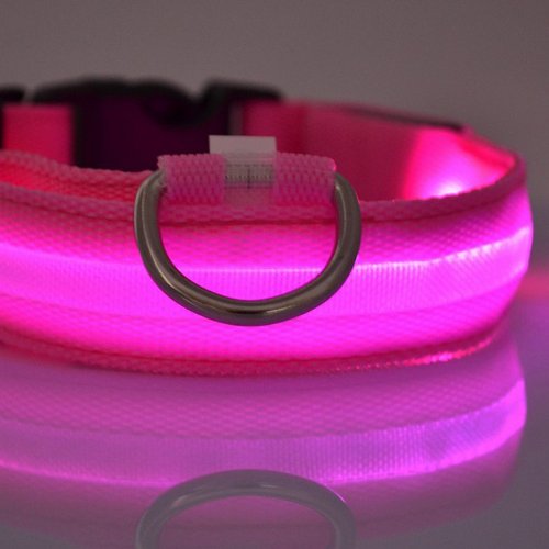Preisvergleich Produktbild LED-Hundehalsband / Leuchthalsband aus Nylon, mit blauem Blinklicht pink
