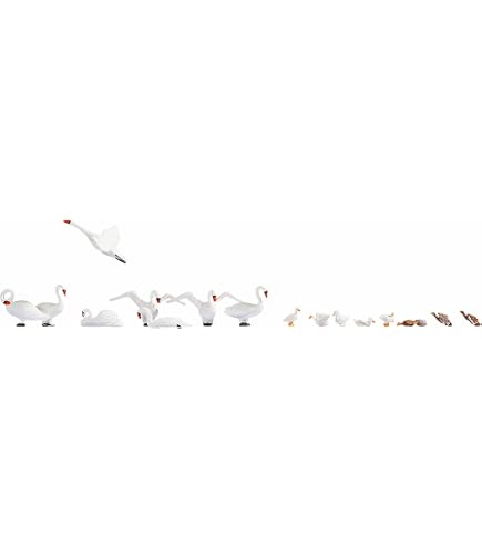 549669_3