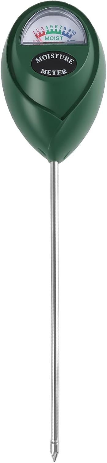 Vue 9