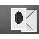 Postkarte / ABC Plants – F