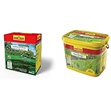 WOLF-Garten - Premium-Rasen »Schatten & Sonne«LP 200; 3820050 & Wolf Rasen-Starterdünger LH 240, mehrfarbig