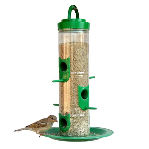 Buy Amijivdaya Large Bird Feeder With Holding Handle Green