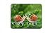 Produktbild Niedliche Schnecke, Paar Mauspad – Love Valentine Nature Geschenk PC Computer # 8256