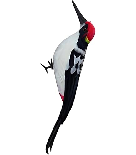 SPECHT-Vogel Kunststatuen Dekoration Unter Künstlichem Kolibris | Dekorative Vogeldekoration Aus Eisen Für Den Außenbereich, Für Hof, Baum, Recin