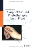 Image de Akupunktur und Phytotherapie beim Pferd