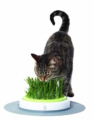 Catit Jardin d'Herbe à Chat