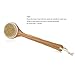 Pixnor Full Body Natural Bristle Dry Skin Exfoliation Brush Detox Fight Cellulite Tool