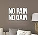 Produktbild wandaufkleber schlafzimmer Vinyl Removable Wall Stickers Mural Decal Gym Motivational No Pain No Gain Fitness Center Decoration Wall Decals Home Decor Bedroom für Wohnzimmer Schlafzimmer