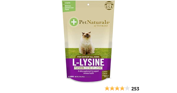 lysine chews