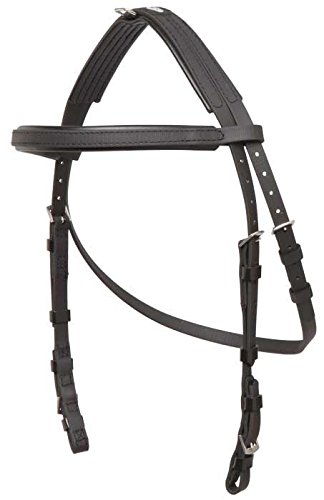 Zilco-Hackamore-Bridle-Head-Cob