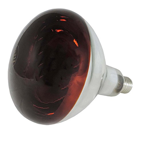 EIDER Infrarotlampe 150 – und 250 Watt auswählbar – Wärmelampe E27 – Top Qualität (150 Watt) - 2