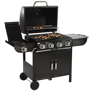 Taino gasgrill 4+1 test