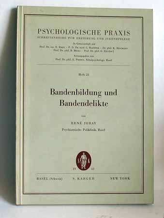 Bandenbildung und Bandendelikte