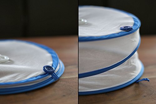 JALOUSIESCOUT Food Protector / Fliegenhaube / Abdeckhaube 1x - 2