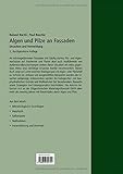 Image de Algen und Pilze an Fassaden: Ursachen und Vermeidung.