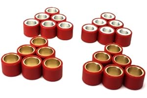 CITOMERX Variomatik Gewichte Abstimmset Variorollen 19x15,5mm kompatibel mit Piaggio Fly, TPH, Zip, Gilera Runner, Stalker, Liberty, ET4