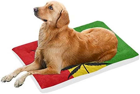 Rtosd Cool Green Cannabis Leaf Icon Extra Large Bedding Soft Pet Dog Beds Couch For Puppy And Cats Furniture Mat Cave Pad Cover Cushion Indoor Gift Supplier 36 X 23 Inch