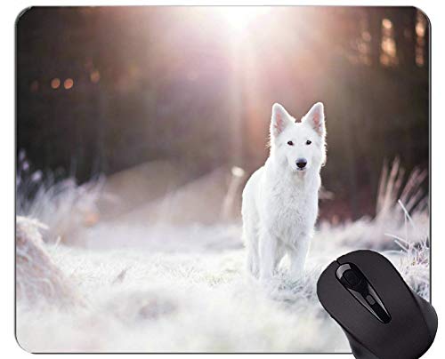 Preisvergleich Produktbild Naturkautschuk-Mauspad mit Schweizer Schweizer Schäferhund bedruckt - genähte Kanten