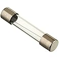 10A Fast Blow Glass Fuse 250V, 6x30mm Fuse (2)