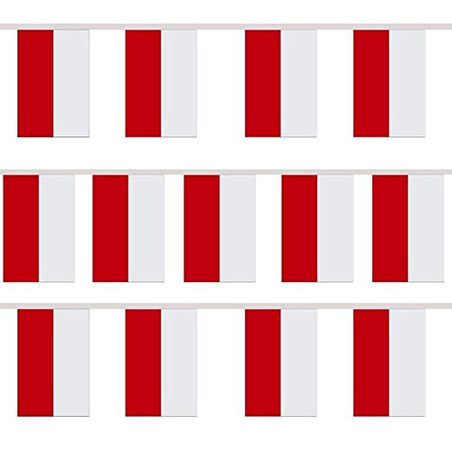 Preisvergleich Produktbild TRIXES Wimpelgirlande mit 12 rechteckigen Polen Flaggen für nationale Feierlichkeiten und Sportevents
