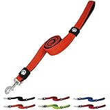 Hundeleine aus Air-Mesh mit Hand-Schlaufe: Führleine, leicht, luftdurchlässig, soft, weich, stark, stabil, 150 cm, farbig, für große und kleine Hunde - verschiedene Farben und Größen XS, S, M, by DDOXX (Orange, XS - 1,5 x 150 cm)