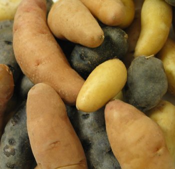 Preisvergleich Produktbild Melissa 's Fingerling Kartoffeln, (3 LB)