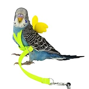 iBàste Correa De Pájaro Mascota Loro Arnés Cuerdas Voladoras Loro Pájaro Leash Arnés De Tracción De Entrenamiento Al Aire Libre Seguridad Fácil De Usar De Nylon Fuerte