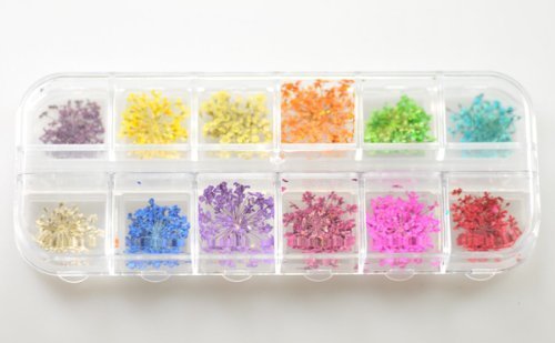 Five Season 12 Colors Dried Flowers Decoration Nail Art Sticker DIY Tips