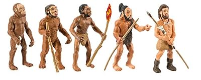 Safari 663816 L'evolution de l'homme 5 Figurines