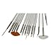 Glow Professional Nail Art Brushes Set - Pack of 15 Pieces