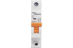 LIVETOKERS Interruptores diferenciales Automático Magnetotérmico industrial CURVA C 1P P+N 2P 3P 4P DPN MCB +6A 10A 16A 20A 25A 32A 40A 50A 63A (1P, 25A)