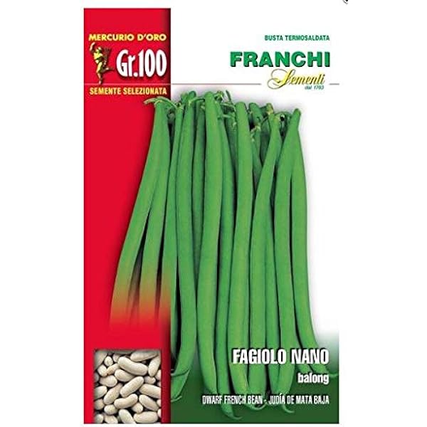 Semi Di Fagiolo Nano Purple King - 100 Grammi, Per Orto, Colore Viola, Semina Da Aprile A Luglio - Foto 3