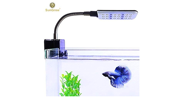 betta fish light