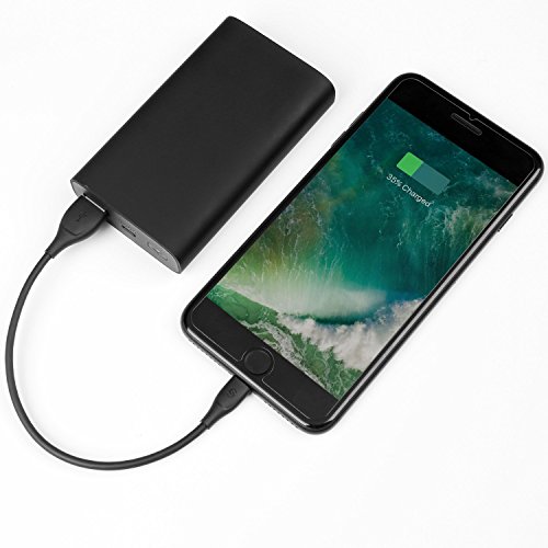 Syncwire C  ble iPhone - 20cm Chargeur iPhone  MFI certifi   Apple  UNBREAKCable Lightning vers USB pour iPhone X 8 8 plus 7 7 plus 6s 6s plus 6 6 plus SE 5c 5s 5  iPad Mini  Air - Noir